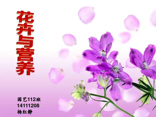 园艺学总论