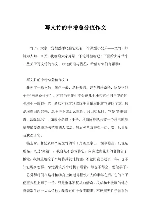 (中考作文)写文竹的中考满分作文