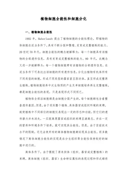 植物细胞全能性和细胞分化