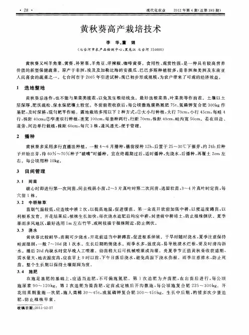 黄秋葵高产栽培技术