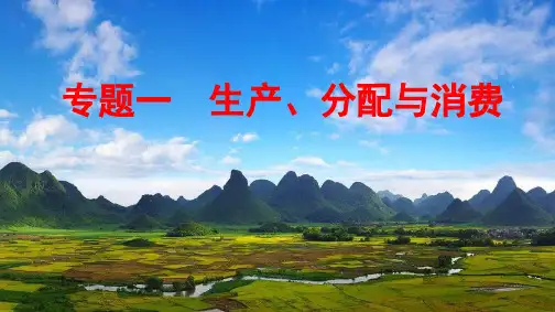 高中政治-专题一 生产、分配与消费