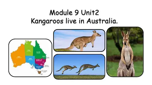 四年级英语下学期M9U2Kangaroos live in Australia (课件) 外研版一起