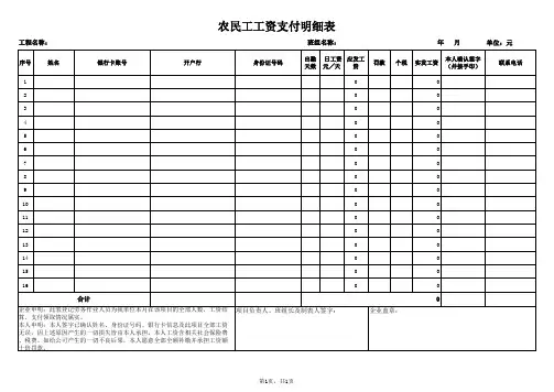 农民工工资支付明细表