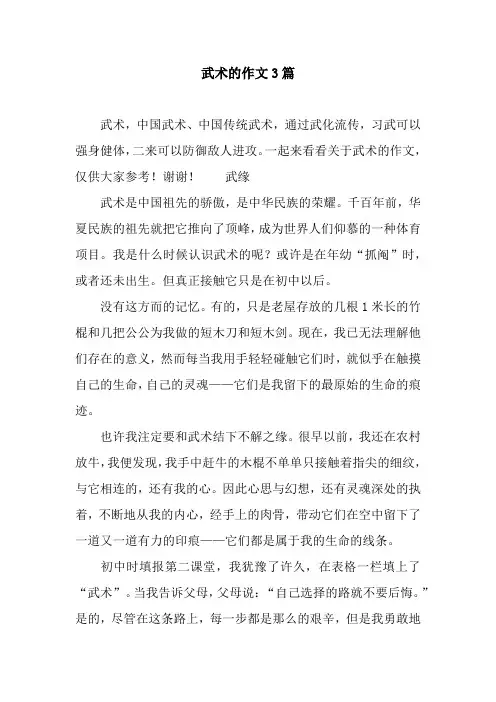 武术的作文3篇