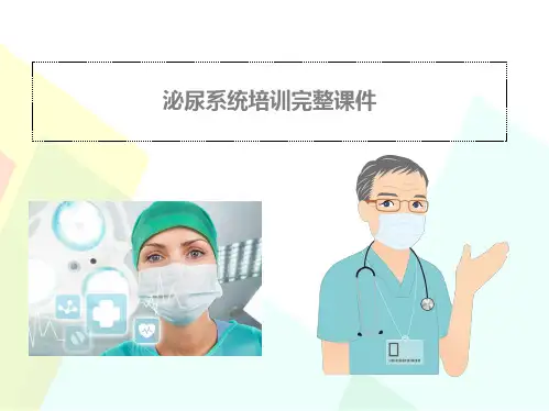 泌尿讲课经典题目