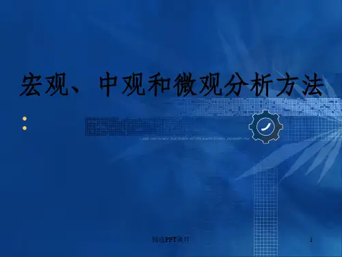 宏观中观和微观分析方法ppt课件