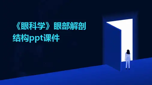 《眼科学》眼部解剖结构ppt课件
