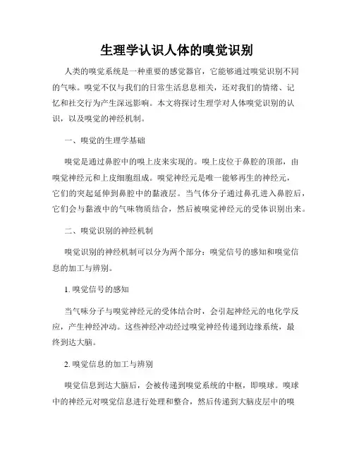 生理学认识人体的嗅觉识别