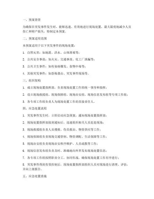 现场处置类应急预案