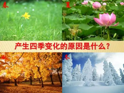 星球地理七年级上册第一章第四节 地球的公转(共19张PPT)