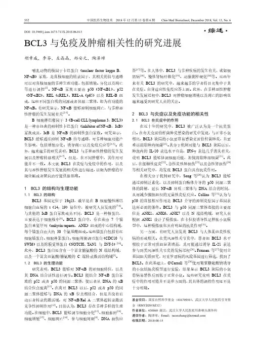 BCL3与免疫及肿瘤相关性的研究进展