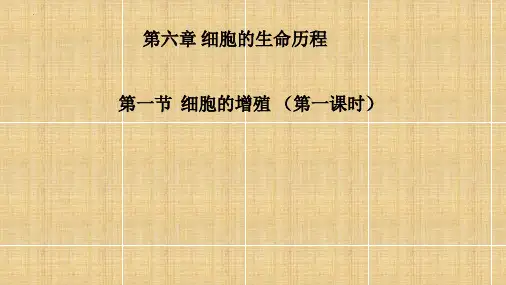 【课件】细胞的增殖(第一课时)课件2022——2023学年高一上学期生物人教版必修1