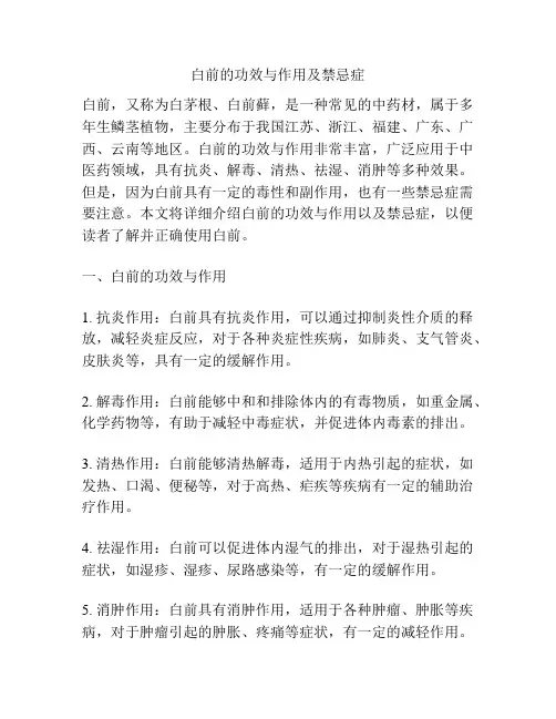 白前的功效与作用及禁忌症