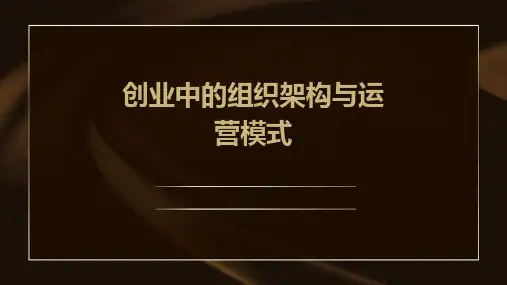 创业中的组织架构与运营模式