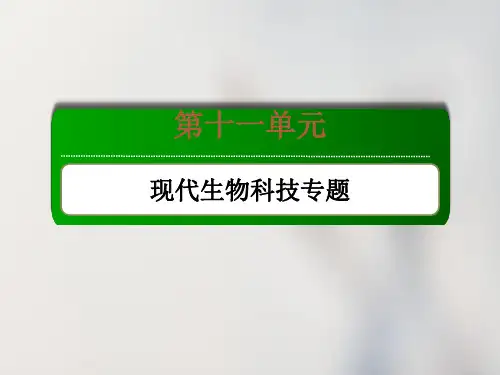 新高考生物一轮复习课件第38讲胚胎工程与生物技术的安全性和伦理问题3