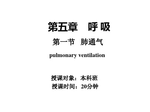 10-肺通气阻力