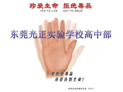 《禁毒宣传主题班会》ppt课件