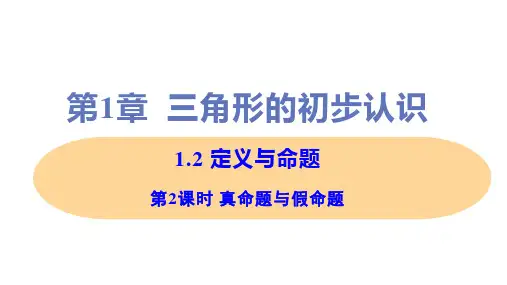 新浙教版八年级上册初中数学 第2课时 真命题与假命题 教学课件