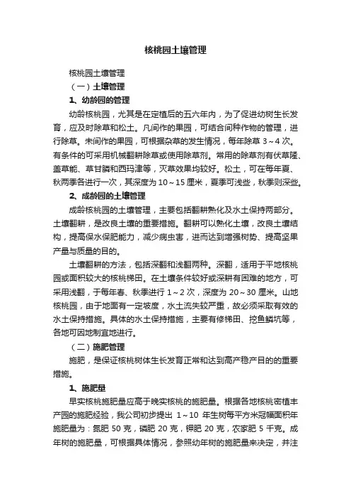 核桃园土壤管理