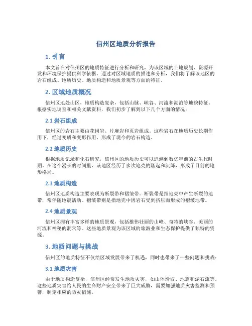 信州区地质分析报告