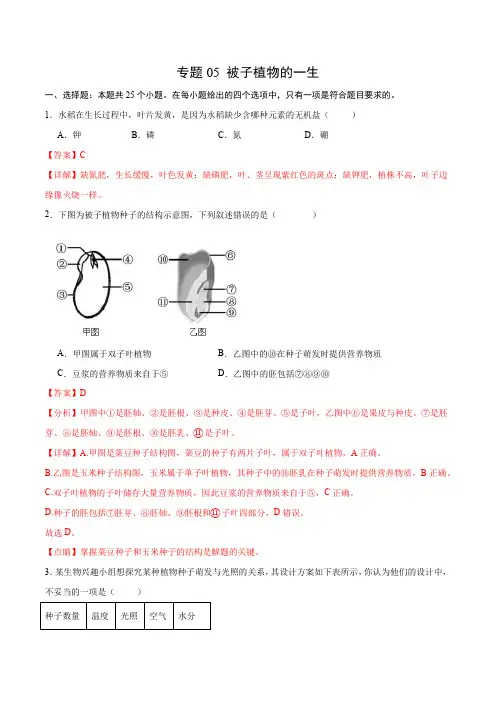 专题05 被子植物的一生(解析版)