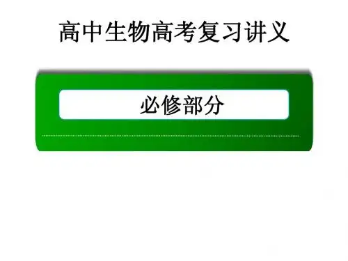高中生物高考一轮总复习讲义 必修2 1.2 孟德尔的豌豆杂交实验(二)