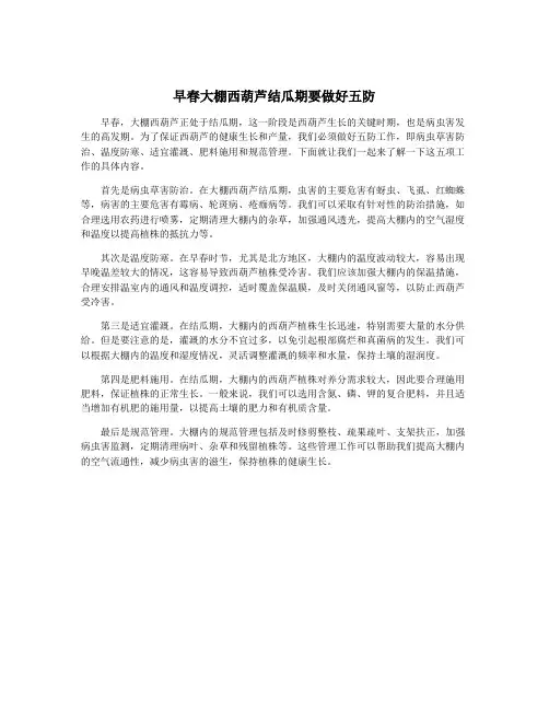 早春大棚西葫芦结瓜期要做好五防