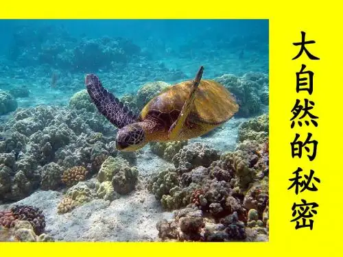 北师大版小学六年级语文下册《大自然的秘密》观摩课示范课公开课优质课赛教课精品课件PPT