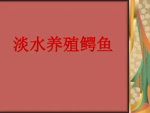淡水养殖鳄鱼