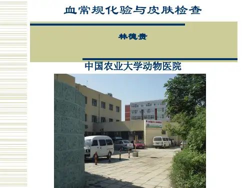 犬猫血常规化验与皮肤检查