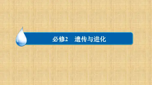 高考生物一轮复习 第8单元 生命活动的调节与免疫 第26讲 人体的内环境与稳态名师课件 新人教版必修2