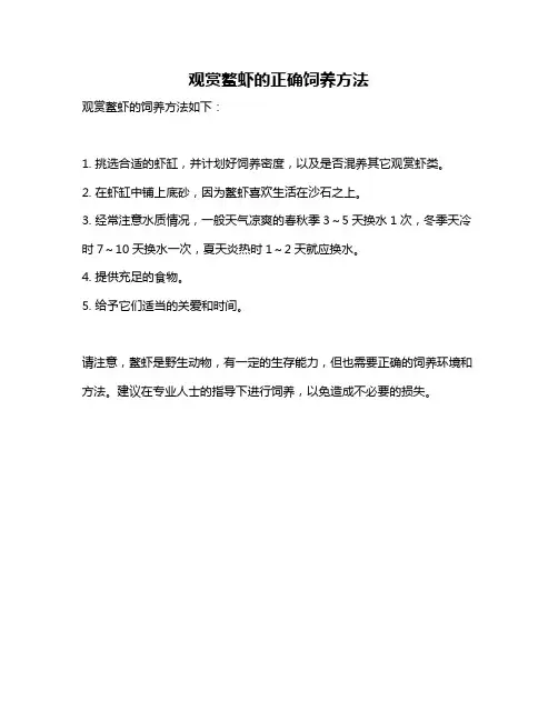 观赏鳌虾的正确饲养方法