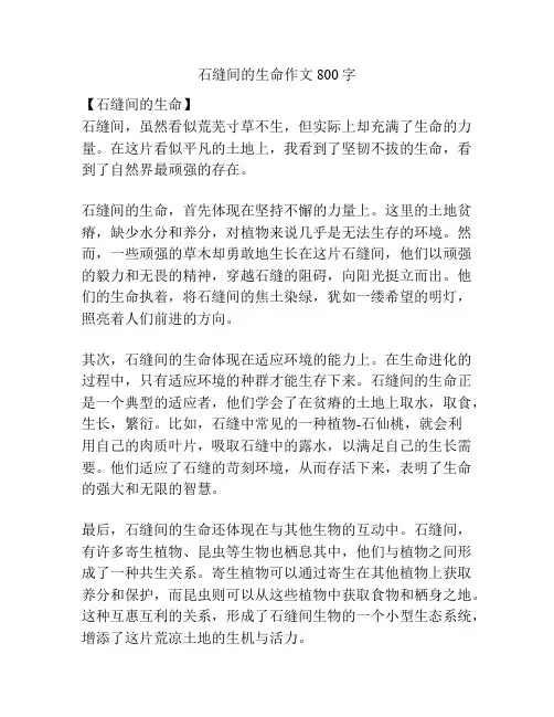 石缝间的生命作文800字