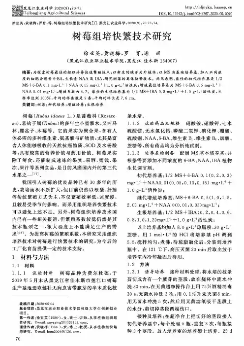 树莓组培快繁技术研究