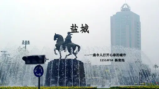 介绍盐城的ppt课件