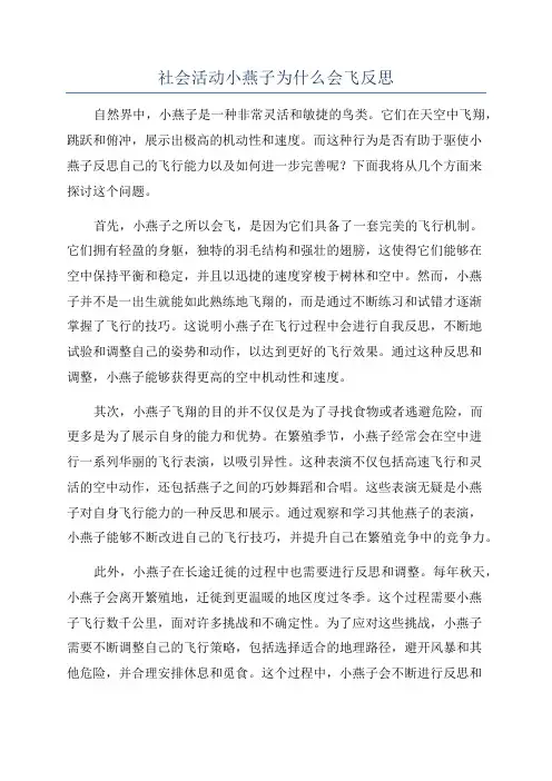 社会活动小燕子为什么会飞反思
