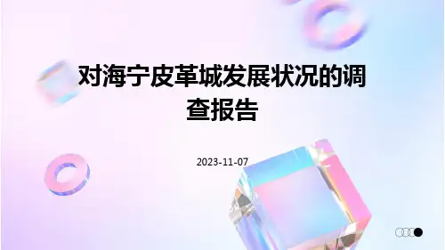 对海宁皮革城发展状况的调查报告