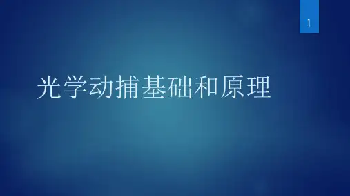 《虚幻引擎实时动画》课件——2.光学动捕基础和原理