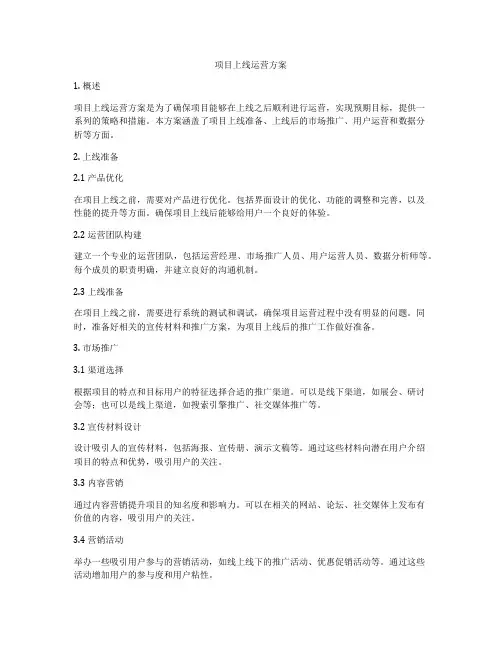 项目上线运营方案