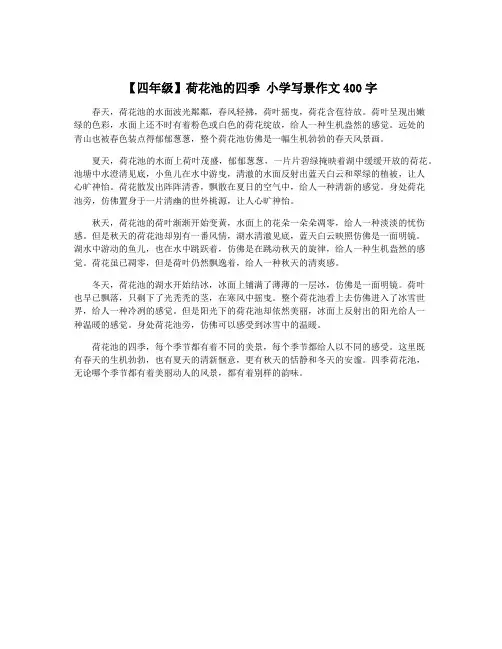 【四年级】荷花池的四季 小学写景作文400字