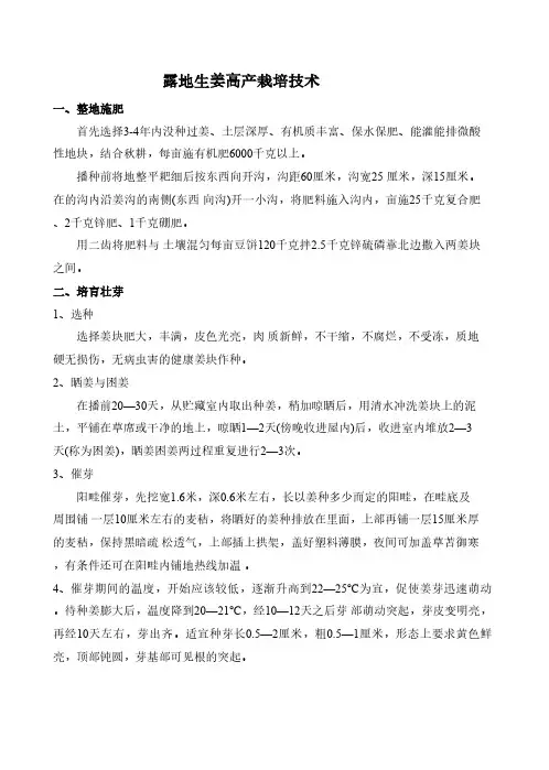 有机蔬菜-露地生姜高产栽培技术