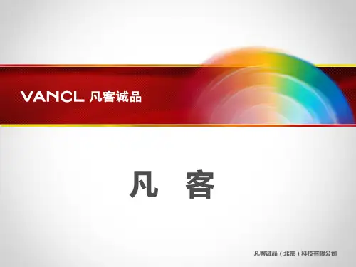 凡客诚品案例分析分析