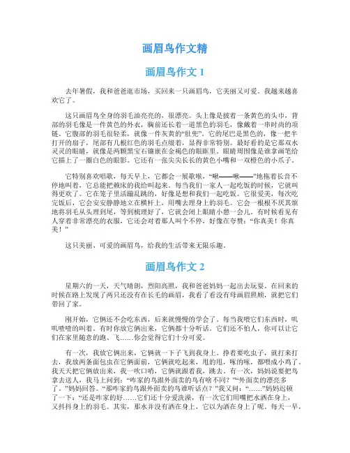画眉鸟作文精