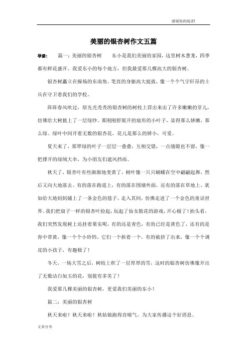 美丽的银杏树作文五篇
