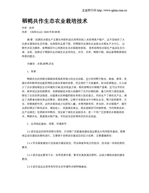 稻鸭共作生态农业栽培技术