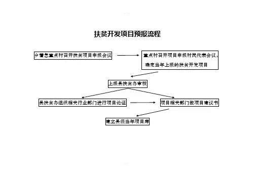 扶贫项目实施流程