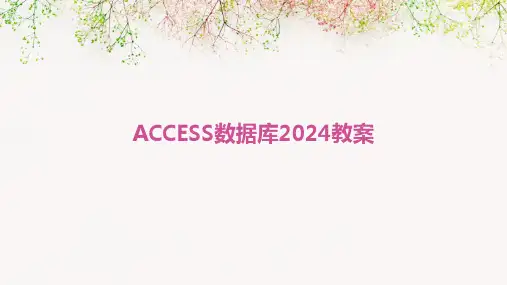 ACCESS数据库2024教案