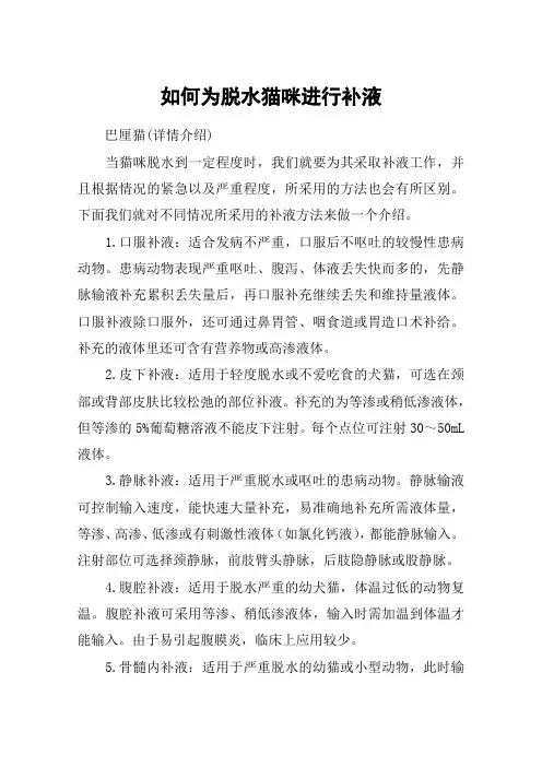 如何为脱水猫咪进行补液