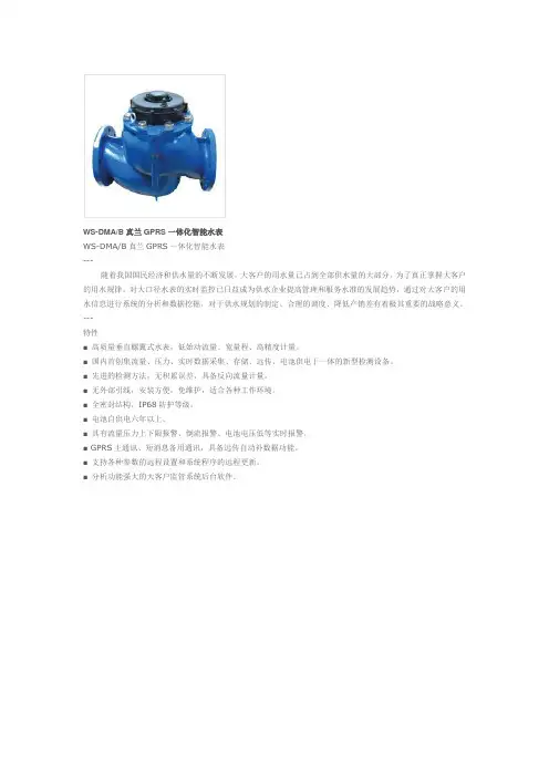 真兰智能水表