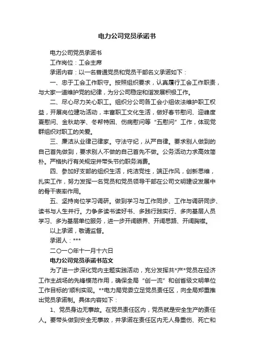 电力公司党员承诺书